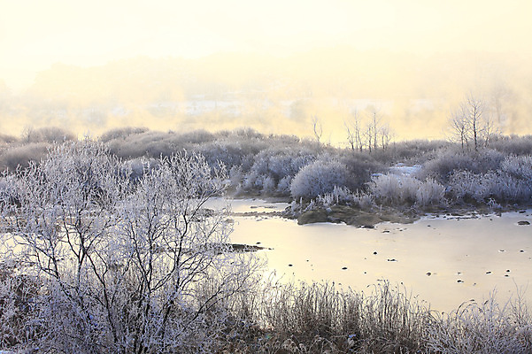 포토 JPG 주간 나무 식물 계절 설경 겨울 자연 한국 풍경 사람없음 야외 강 햇빛 노을 얼음 일몰 안개 돌_바위 조약돌 바위 눈 풀 신비 서리 강원도 상고대 춘천 살얼음 소양5교 소양강 수빙 국내포토 자연요소 아시아 컨셉 날씨 태양 다리_건축물 생태계 파일형식