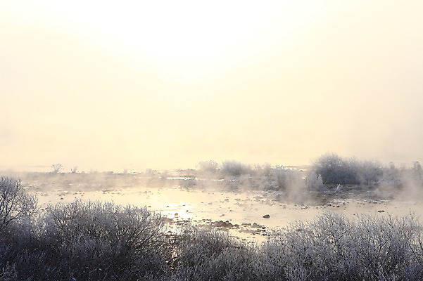 포토 JPG 주간 나무 식물 계절 설경 겨울 자연 한국 풍경 사람없음 야외 강 햇빛 노을 얼음 일몰 안개 돌_바위 조약돌 바위 눈 풀 신비 서리 강원도 상고대 춘천 살얼음 소양5교 소양강 수빙 국내포토 자연요소 아시아 컨셉 날씨 태양 다리_건축물 생태계 파일형식