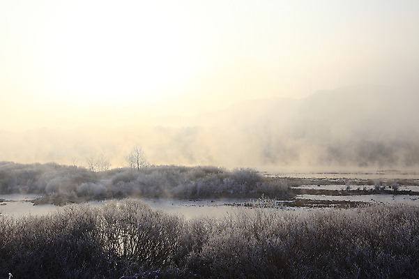포토 JPG 주간 나무 식물 계절 설경 겨울 자연 한국 풍경 사람없음 야외 강 햇빛 노을 얼음 일몰 안개 돌_바위 조약돌 바위 눈 풀 신비 서리 강원도 상고대 춘천 살얼음 소양5교 소양강 수빙 국내포토 자연요소 아시아 컨셉 날씨 태양 다리_건축물 생태계 파일형식