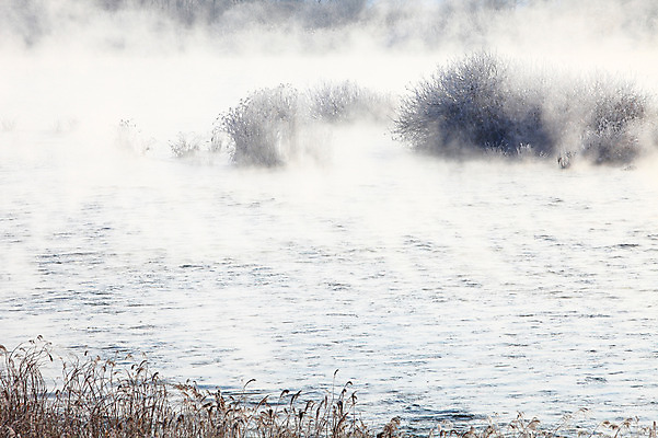 포토 JPG 주간 나무 식물 계절 겨울 자연 한국 갈대 풍경 사람없음 야외 강 얼음 안개 눈 풀 신비 서리 강원도 상고대 춘천 살얼음 소양5교 소양강 수빙 국내포토 자연요소 아시아 컨셉 날씨 다리_건축물 생태계 파일형식