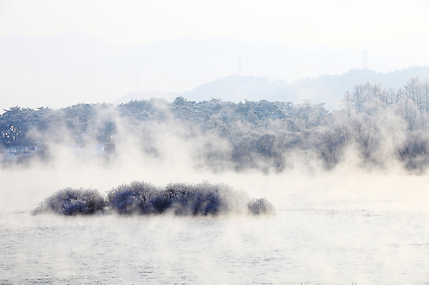 포토 JPG 주간 나무 식물 계절 겨울 자연 산 한국 풍경 사람없음 야외 강 얼음 안개 눈 풀 신비 서리 강원도 상고대 춘천 살얼음 소양5교 소양강 수빙 국내포토 자연요소 아시아 컨셉 날씨 다리_건축물 생태계 파일형식