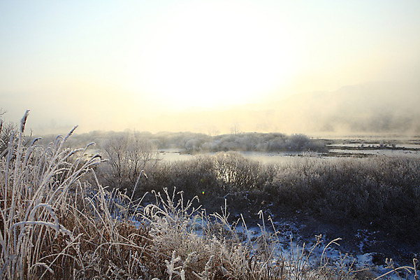 포토 JPG 주간 나무 식물 계절 설경 겨울 자연 한국 갈대 풍경 사람없음 야외 강 햇빛 노을 얼음 일몰 안개 눈 풀 신비 서리 강원도 상고대 춘천 살얼음 소양5교 소양강 수빙 국내포토 자연요소 아시아 컨셉 날씨 태양 다리_건축물 생태계 파일형식
