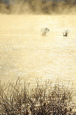 포토 JPG 주간 나무 식물 계절 겨울 자연 한국 갈대 풍경 사람없음 야외 반짝임 강 햇빛 반사 노을 일몰 안개 풀 신비 강원도 춘천 소양5교 소양강 국내포토 자연요소 아시아 컨셉 모션 날씨 태양 다리_건축물 생태계 파일형식