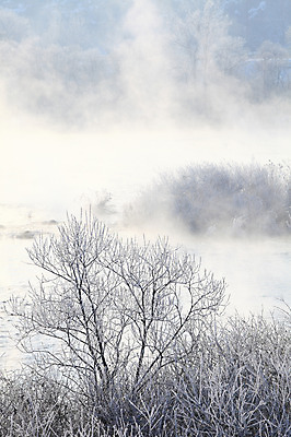 포토 JPG 주간 나무 식물 계절 설경 겨울 자연 한국 풍경 사람없음 야외 강 얼음 안개 돌_바위 조약돌 바위 눈 풀 신비 서리 강원도 상고대 춘천 살얼음 소양5교 소양강 수빙 국내포토 자연요소 아시아 컨셉 날씨 다리_건축물 생태계 파일형식