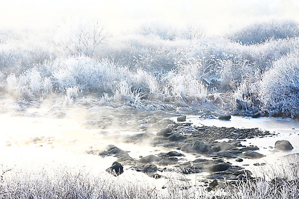 포토 JPG 주간 나무 식물 계절 설경 겨울 자연 한국 풍경 사람없음 야외 강 얼음 안개 돌_바위 조약돌 바위 눈 풀 신비 서리 강원도 상고대 춘천 살얼음 소양5교 소양강 수빙 국내포토 자연요소 아시아 컨셉 날씨 다리_건축물 생태계 파일형식