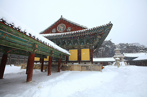 포토 JPG 주간 나무 식물 한국문화 한국전통 전통 시설물 건축물 사계절 계절 건축 종교 전통문화 여행 고건축 설경 겨울 불교 종교건축 자연 종교시설 한국 기와 풍경 사람없음 야외 건물 관광지 쌓기 탑 얼음 세계문화유산 문화재 경주 사찰 사원 석탑 경상북도 경상도 기와지붕 고드름 불국사 눈발 다보탑 안구 눈내림 국내포토 자연요소 동양문화 아시아 문화 비즈니스 모션 지붕 눈_날씨 신체부위 시설 생태계 랜드마크 파일형식