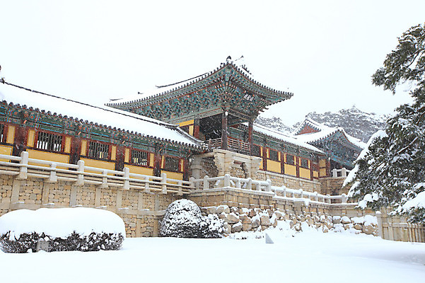 포토 JPG 주간 나무 식물 한국문화 한국전통 전통 시설물 건축물 사계절 계절 건축 종교 전통문화 여행 고건축 설경 겨울 불교 종교건축 자연 종교시설 한국 기와 풍경 사람없음 야외 건물 관광지 쌓기 계단 세계문화유산 문화재 눈 경주 사찰 사원 경상북도 경상도 기와지붕 불국사 돌계단 눈발 눈내림 국내포토 자연요소 동양문화 아시아 문화 비즈니스 모션 지붕 날씨 눈_날씨 돌_바위 시설 생태계 랜드마크 파일형식