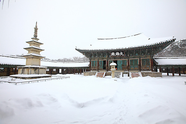 포토 JPG 주간 나무 식물 한국문화 한국전통 전통 시설물 건축물 사계절 계절 건축 종교 전통문화 여행 고건축 설경 겨울 불교 종교건축 자연 종교시설 한국 기와 풍경 사람없음 야외 건물 관광지 쌓기 탑 세계문화유산 문화재 눈 경주 사찰 사원 석탑 경상북도 경상도 기와지붕 불국사 눈발 석가탑 눈내림 국내포토 자연요소 동양문화 아시아 문화 비즈니스 모션 지붕 날씨 눈_날씨 시설 생태계 랜드마크 파일형식