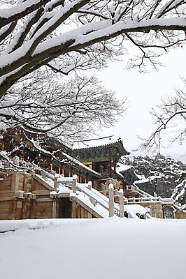 포토 JPG 주간 나무 식물 한국문화 한국전통 전통 시설물 건축물 사계절 계절 건축 종교 전통문화 여행 고건축 설경 겨울 불교 종교건축 자연 종교시설 한국 기와 풍경 사람없음 야외 건물 관광지 쌓기 계단 세계문화유산 문화재 눈 경주 사찰 사원 경상북도 경상도 기와지붕 불국사 돌계단 눈발 눈내림 국내포토 자연요소 동양문화 아시아 문화 비즈니스 모션 지붕 날씨 눈_날씨 돌_바위 시설 생태계 랜드마크 파일형식