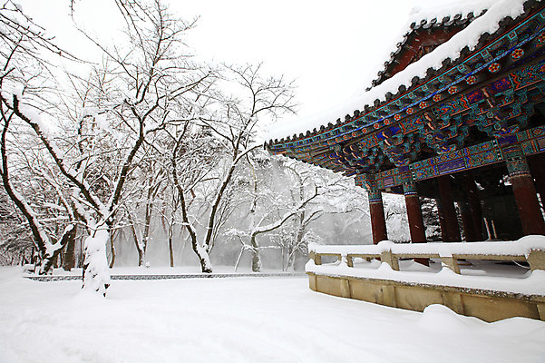 포토 JPG 주간 나무 식물 한국문화 한국전통 전통 시설물 건축물 사계절 계절 건축 종교 전통문화 여행 고건축 설경 겨울 불교 종교건축 자연 종교시설 한국 기와 풍경 사람없음 야외 건물 관광지 쌓기 세계문화유산 문화재 눈 경주 사찰 사원 경상북도 경상도 기와지붕 불국사 눈발 눈내림 국내포토 자연요소 동양문화 아시아 문화 비즈니스 모션 지붕 날씨 눈_날씨 시설 생태계 랜드마크 파일형식