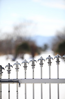 포토 JPG 나무 식물 계절 겨울 자연 출입구 풍경 사람없음 아웃포커스 문 눈 창살 철문 철장 국내포토 자연요소 날씨 촬영기법 생태계 파일형식