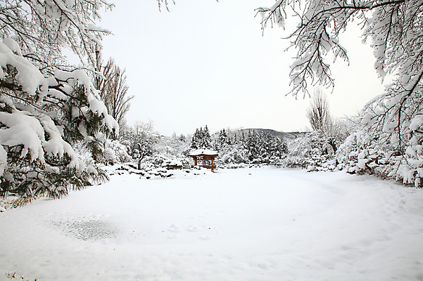 포토 JPG 주간 나무 식물 한국문화 전통 사계절 계절 건축 전통문화 고건축 설경 겨울 자연 산 한국 풍경 사람없음 야외 관광지 눈 경주 숲 경상북도 정자 보문단지 보문정 국내포토 자연요소 동양문화 건축물 아시아 문화 여행 날씨 경주_경상북도 경상도 생태계 파일형식