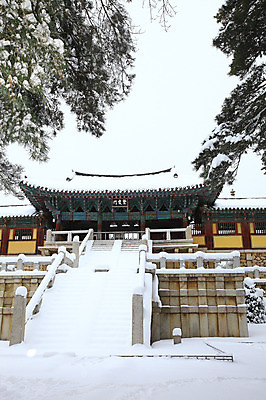 포토 JPG 주간 나무 식물 한국문화 한국전통 전통 시설물 건축물 사계절 계절 건축 종교 전통문화 여행 고건축 설경 겨울 불교 종교건축 자연 종교시설 한국 기와 풍경 사람없음 야외 건물 관광지 쌓기 계단 세계문화유산 문화재 눈 경주 사찰 사원 경상북도 경상도 기와지붕 불국사 돌계단 눈발 눈내림 국내포토 자연요소 동양문화 아시아 문화 비즈니스 모션 지붕 날씨 눈_날씨 돌_바위 시설 생태계 랜드마크 파일형식