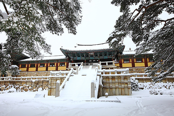 포토 JPG 주간 나무 식물 한국문화 한국전통 전통 시설물 건축물 사계절 계절 건축 종교 전통문화 여행 고건축 설경 겨울 불교 종교건축 자연 종교시설 한국 기와 풍경 사람없음 야외 건물 관광지 쌓기 계단 세계문화유산 문화재 눈 경주 사찰 사원 경상북도 경상도 기와지붕 불국사 돌계단 눈발 눈내림 국내포토 자연요소 동양문화 아시아 문화 비즈니스 모션 지붕 날씨 눈_날씨 돌_바위 시설 생태계 랜드마크 파일형식