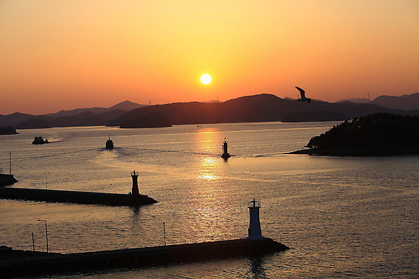 포토 JPG 주간 나무 식물 동물 한마리 실루엣 교통수단 바다 섬 자연 갈매기 하늘 산 한국 등대 물그림자 풍경 사람없음 야외 일출 노을 일몰 비행 어선 경상남도 통영 남해 두척 선박 국내포토 자연요소 1 아시아 교통 수상교통 2 배_교통 조류 촬영기법 그림자 경상도 생태계 파일형식