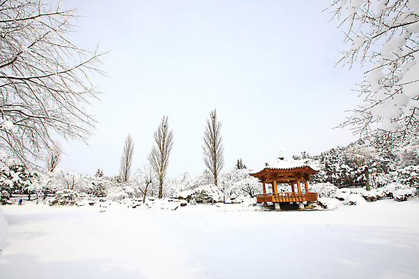 포토 JPG 주간 나무 식물 한국문화 전통 사계절 계절 건축 전통문화 고건축 겨울 자연 산 한국 풍경 사람없음 야외 관광지 눈 경주 경상북도 정자 보문단지 보문정 국내포토 자연요소 동양문화 건축물 아시아 문화 여행 날씨 경주_경상북도 경상도 생태계 파일형식