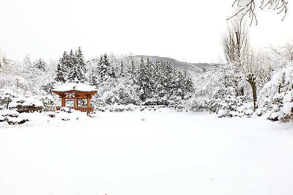 포토 JPG 주간 나무 식물 한국문화 전통 사계절 계절 건축 전통문화 고건축 설경 겨울 자연 산 한국 풍경 사람없음 야외 관광지 눈 경주 경상북도 정자 보문단지 보문정 국내포토 자연요소 동양문화 건축물 아시아 문화 여행 날씨 경주_경상북도 경상도 생태계 파일형식