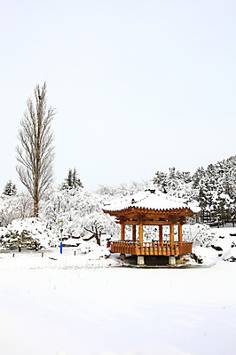 포토 JPG 주간 나무 식물 한국문화 전통 사계절 계절 건축 전통문화 고건축 설경 겨울 자연 산 한국 풍경 사람없음 야외 관광지 눈 경주 경상북도 정자 보문단지 보문정 국내포토 자연요소 동양문화 건축물 아시아 문화 여행 날씨 경주_경상북도 경상도 생태계 파일형식