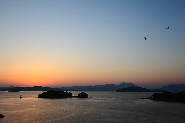 포토 JPG 주간 나무 식물 동물 실루엣 바다 섬 두마리 자연 갈매기 하늘 산 한국 풍경 사람없음 야외 일출 노을 일몰 비행 경상남도 통영 남해 국내포토 자연요소 아시아 2 조류 촬영기법 경상도 생태계 파일형식