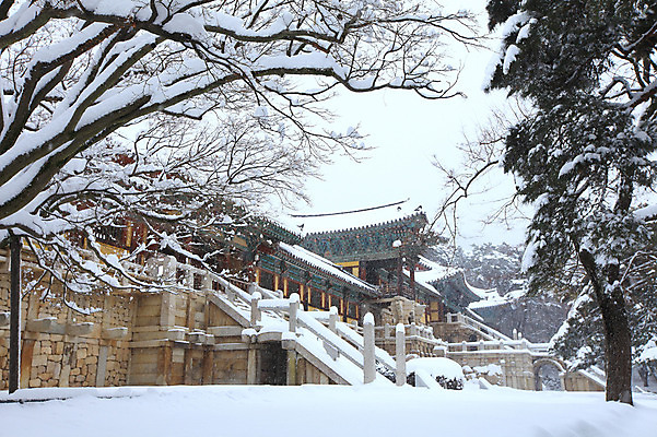 포토 JPG 주간 나무 식물 한국문화 한국전통 전통 시설물 건축물 사계절 계절 건축 종교 전통문화 여행 고건축 설경 겨울 불교 종교건축 자연 종교시설 한국 기와 풍경 사람없음 야외 건물 관광지 쌓기 계단 세계문화유산 문화재 눈 경주 사찰 사원 경상북도 경상도 기와지붕 불국사 돌계단 눈발 눈내림 국내포토 자연요소 동양문화 아시아 문화 비즈니스 모션 지붕 날씨 눈_날씨 돌_바위 시설 생태계 랜드마크 파일형식