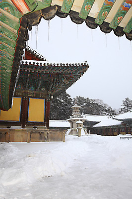 포토 JPG 주간 나무 식물 한국문화 한국전통 전통 시설물 건축물 사계절 계절 건축 종교 전통문화 여행 고건축 설경 겨울 불교 종교건축 자연 종교시설 한국 기와 풍경 사람없음 야외 건물 관광지 쌓기 탑 얼음 세계문화유산 문화재 눈 경주 사찰 사원 석탑 경상북도 경상도 기와지붕 고드름 불국사 눈발 다보탑 눈내림 국내포토 자연요소 동양문화 아시아 문화 비즈니스 모션 지붕 날씨 눈_날씨 시설 생태계 랜드마크 파일형식