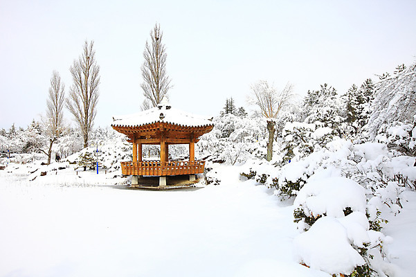 포토 JPG 주간 나무 식물 한국문화 전통 사계절 계절 건축 전통문화 고건축 설경 겨울 자연 산 한국 풍경 사람없음 야외 관광지 눈 경주 경상북도 정자 보문단지 보문정 국내포토 자연요소 동양문화 건축물 아시아 문화 여행 날씨 경주_경상북도 경상도 생태계 파일형식