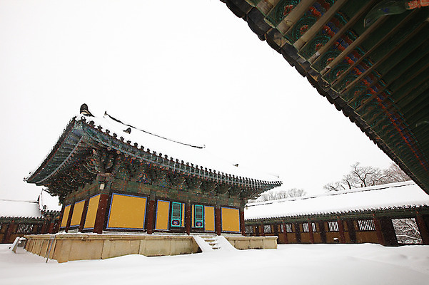포토 JPG 주간 나무 식물 한국문화 한국전통 전통 시설물 건축물 사계절 계절 건축 종교 전통문화 여행 고건축 설경 겨울 불교 종교건축 자연 종교시설 한국 기와 풍경 사람없음 야외 건물 관광지 쌓기 계단 세계문화유산 문화재 눈 경주 사찰 사원 경상북도 경상도 기와지붕 불국사 돌계단 눈발 눈내림 국내포토 자연요소 동양문화 아시아 문화 비즈니스 모션 지붕 날씨 눈_날씨 돌_바위 시설 생태계 랜드마크 파일형식
