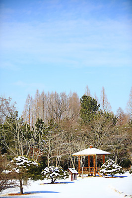 포토 JPG 주간 나무 식물 한국문화 전통 사계절 계절 건축 전통문화 고건축 설경 겨울 자연 산 한국 풍경 사람없음 야외 관광지 눈 경주 숲 경상북도 정자 보문단지 보문정 국내포토 자연요소 동양문화 건축물 아시아 문화 여행 날씨 경주_경상북도 경상도 생태계 파일형식