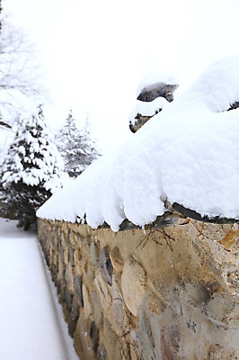 포토 JPG 주간 나무 식물 한국문화 한국전통 전통 시설물 건축물 사계절 계절 건축 종교 전통문화 여행 고건축 설경 겨울 불교 종교건축 자연 종교시설 한국 돌담 기와 풍경 사람없음 야외 건물 아웃포커스 관광지 담장 쌓기 세계문화유산 문화재 눈 경주 사찰 사원 경상북도 경상도 기와지붕 불국사 눈발 눈내림 국내포토 자연요소 동양문화 아시아 문화 비즈니스 모션 지붕 날씨 눈_날씨 촬영기법 돌_바위 시설 생태계 랜드마크 파일형식