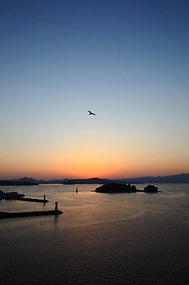 포토 JPG 주간 나무 식물 동물 한마리 실루엣 바다 섬 자연 갈매기 하늘 산 한국 등대 풍경 사람없음 야외 일출 노을 일몰 비행 경상남도 통영 남해 국내포토 자연요소 1 아시아 조류 촬영기법 경상도 생태계 파일형식