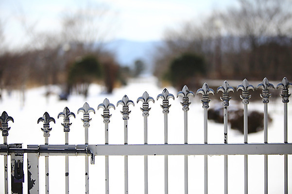 포토 JPG 나무 식물 계절 겨울 자연 출입구 풍경 사람없음 아웃포커스 문 눈 창살 철문 철장 국내포토 자연요소 날씨 촬영기법 생태계 파일형식