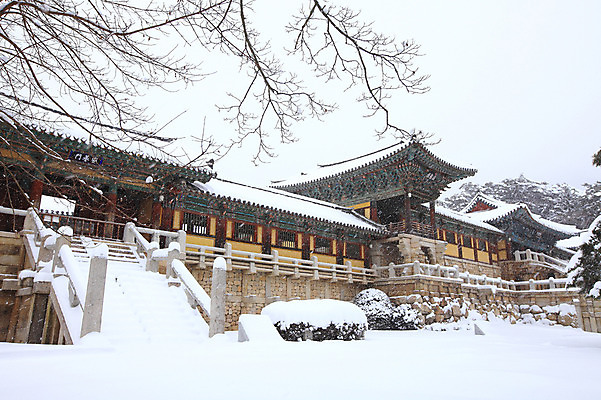 포토 JPG 주간 나무 식물 한국문화 한국전통 전통 시설물 건축물 사계절 계절 건축 종교 전통문화 여행 고건축 설경 겨울 불교 종교건축 자연 종교시설 한국 기와 풍경 사람없음 야외 건물 관광지 쌓기 계단 세계문화유산 문화재 눈 경주 사찰 사원 경상북도 경상도 기와지붕 불국사 돌계단 눈발 눈내림 국내포토 자연요소 동양문화 아시아 문화 비즈니스 모션 지붕 날씨 눈_날씨 돌_바위 시설 생태계 랜드마크 파일형식