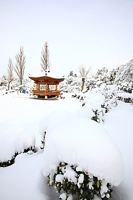 포토 JPG 주간 나무 식물 한국문화 전통 사계절 계절 건축 전통문화 고건축 설경 겨울 자연 산 한국 풍경 사람없음 야외 관광지 눈 경주 숲 경상북도 정자 보문단지 보문정 국내포토 자연요소 동양문화 건축물 아시아 문화 여행 날씨 경주_경상북도 경상도 생태계 파일형식