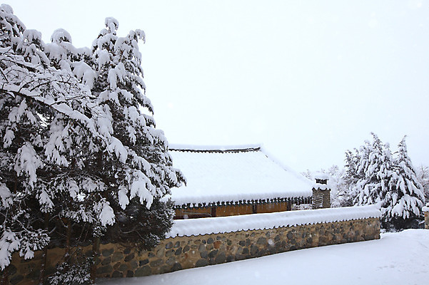 포토 JPG 주간 나무 식물 한국문화 한국전통 전통 시설물 건축물 사계절 계절 건축 종교 전통문화 여행 고건축 설경 겨울 불교 종교건축 자연 종교시설 지붕 한국 돌담 기와 풍경 사람없음 야외 관광지 담장 쌓기 얼음 세계문화유산 문화재 눈 경주 사찰 사원 경상북도 경상도 기와지붕 고드름 불국사 눈내림 국내포토 자연요소 동양문화 아시아 문화 비즈니스 모션 날씨 눈_날씨 돌_바위 시설 생태계 랜드마크 파일형식