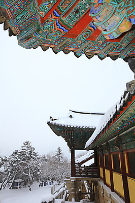 포토 JPG 주간 나무 식물 한국문화 한국전통 전통 문양 시설물 건축물 사계절 계절 건축 종교 전통문화 여행 고건축 설경 겨울 무늬 불교 우산 종교건축 자연 종교시설 한국 단청문양 기와 풍경 여러명 야외 건물 관광지 쌓기 계단 사진촬영 세계문화유산 문화재 눈 경주 사찰 사원 경상북도 경상도 단청 기와지붕 불국사 돌계단 눈발 눈내림 국내포토 자연요소 동양문화 아시아 문화 다수 비즈니스 모션 지붕 날씨 눈_날씨 사람 촬영 돌_바위 시설 생태계 랜드마크 파일형식