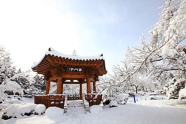 포토 JPG 주간 나무 식물 한국문화 전통 사계절 계절 건축 전통문화 고건축 설경 겨울 자연 산 한국 풍경 사람없음 야외 관광지 나뭇가지 눈 경주 숲 경상북도 정자 보문단지 보문정 국내포토 자연요소 동양문화 건축물 아시아 문화 여행 날씨 경주_경상북도 경상도 생태계 파일형식