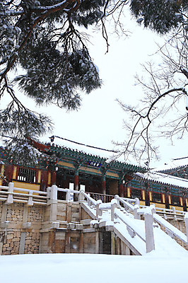 포토 JPG 주간 나무 식물 한국문화 한국전통 전통 시설물 건축물 사계절 계절 건축 종교 전통문화 여행 고건축 설경 겨울 불교 종교건축 자연 종교시설 한국 기와 풍경 사람없음 야외 건물 관광지 쌓기 계단 세계문화유산 문화재 눈 경주 사찰 사원 경상북도 경상도 기와지붕 불국사 돌계단 눈발 눈내림 국내포토 자연요소 동양문화 아시아 문화 비즈니스 모션 지붕 날씨 눈_날씨 돌_바위 시설 생태계 랜드마크 파일형식