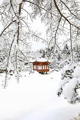 포토 JPG 주간 나무 식물 한국문화 전통 사계절 계절 건축 전통문화 고건축 설경 겨울 자연 산 한국 풍경 사람없음 야외 관광지 나뭇가지 눈 경주 숲 경상북도 정자 보문단지 보문정 국내포토 자연요소 동양문화 건축물 아시아 문화 여행 날씨 경주_경상북도 경상도 생태계 파일형식