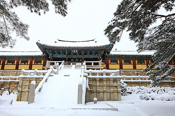 포토 JPG 주간 나무 식물 한국문화 한국전통 전통 시설물 건축물 사계절 계절 건축 종교 전통문화 여행 고건축 설경 겨울 불교 종교건축 자연 종교시설 한국 기와 풍경 사람없음 야외 건물 관광지 쌓기 계단 세계문화유산 문화재 눈 경주 사찰 사원 경상북도 경상도 기와지붕 불국사 돌계단 눈발 눈내림 국내포토 자연요소 동양문화 아시아 문화 비즈니스 모션 지붕 날씨 눈_날씨 돌_바위 시설 생태계 랜드마크 파일형식
