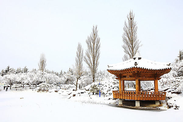 포토 JPG 주간 나무 식물 한국문화 전통 사계절 계절 건축 전통문화 고건축 설경 겨울 자연 산 한국 사람 풍경 야외 세명 관광지 눈 경주 경상북도 정자 보문단지 보문정 국내포토 자연요소 동양문화 건축물 아시아 문화 여행 날씨 경주_경상북도 경상도 생태계 파일형식