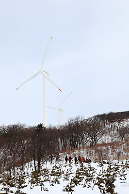 포토 JPG 주간 사계절 계절 설경 겨울 자연 산 한국 사람 풍경 여러명 야외 풍차 발전소 눈 풍력에너지 정상 산등성이 풍력발전소 강원도 겨울산 대관령 선자령 국내포토 자연요소 아시아 다수 날씨 에너지 그린에너지 생태계 파일형식