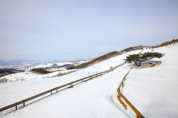 포토 JPG 주간 나무 식물 사계절 계절 설경 겨울 자연 산 주택 한국 풍경 사람없음 야외 건물 울타리 설원 눈 산등성이 강원도 겨울산 대관령 선자령 한채 국내포토 자연요소 1 건축물 아시아 날씨 눈_날씨 담장 생태계 파일형식