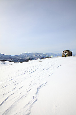 포토 JPG 주간 나무 식물 사계절 계절 설경 겨울 자연 산 주택 한국 풍경 사람없음 야외 울타리 설원 눈 오두막 산등성이 강원도 겨울산 나무집 대관령 선자령 한채 국내포토 자연요소 1 아시아 날씨 눈_날씨 건물 담장 생태계 파일형식