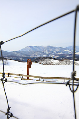 포토 JPG 주간 나무 식물 사계절 계절 설경 겨울 자연 산 한국 풍경 사람없음 야외 울타리 설원 눈 산등성이 강원도 철사 겨울산 철조망 대관령 선자령 국내포토 자연요소 아시아 날씨 눈_날씨 담장 생태계 파일형식