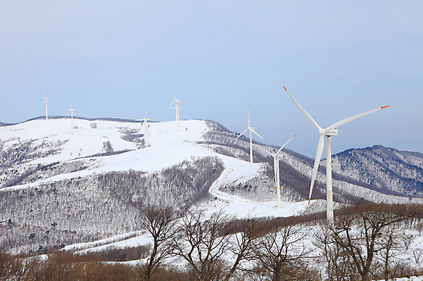 포토 JPG 주간 사계절 계절 설경 겨울 자연 산 한국 풍경 사람없음 야외 풍차 발전소 눈 풍력에너지 정상 산등성이 풍력발전소 강원도 겨울산 대관령 선자령 국내포토 자연요소 아시아 날씨 에너지 그린에너지 생태계 파일형식