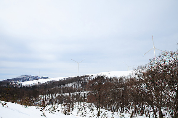 포토 JPG 주간 사계절 계절 설경 겨울 자연 산 한국 풍경 사람없음 야외 풍차 발전소 눈 풍력에너지 정상 산등성이 풍력발전소 강원도 겨울산 대관령 선자령 국내포토 자연요소 아시아 날씨 에너지 그린에너지 생태계 파일형식