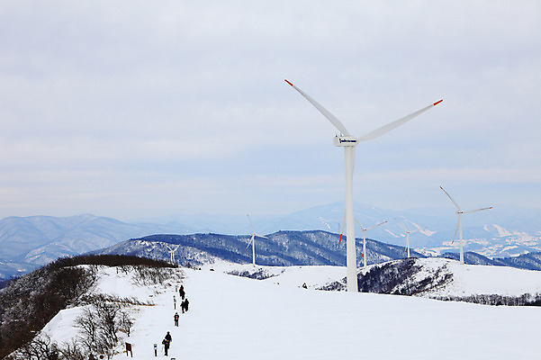 포토 JPG 주간 사계절 계절 설경 겨울 자연 산 한국 사람 풍경 여러명 야외 풍차 발전소 눈 풍력에너지 정상 산등성이 풍력발전소 강원도 겨울산 대관령 선자령 국내포토 자연요소 아시아 다수 날씨 에너지 그린에너지 생태계 파일형식