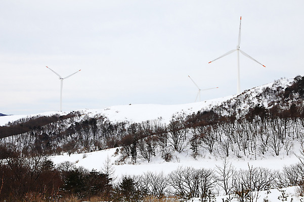 포토 JPG 주간 사계절 계절 설경 겨울 자연 산 한국 풍경 사람없음 야외 풍차 발전소 눈 풍력에너지 정상 산등성이 풍력발전소 강원도 겨울산 대관령 선자령 국내포토 자연요소 아시아 날씨 에너지 그린에너지 생태계 파일형식