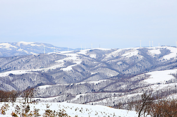 포토 JPG 주간 사계절 계절 설경 겨울 자연 산 한국 풍경 사람없음 야외 풍차 발전소 눈 풍력에너지 정상 산등성이 풍력발전소 강원도 겨울산 대관령 선자령 국내포토 자연요소 아시아 날씨 에너지 그린에너지 생태계 파일형식