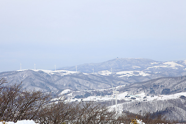 포토 JPG 주간 사계절 계절 설경 겨울 자연 산 한국 풍경 사람없음 야외 풍차 발전소 눈 풍력에너지 정상 산등성이 풍력발전소 강원도 겨울산 대관령 선자령 국내포토 자연요소 아시아 날씨 에너지 그린에너지 생태계 파일형식